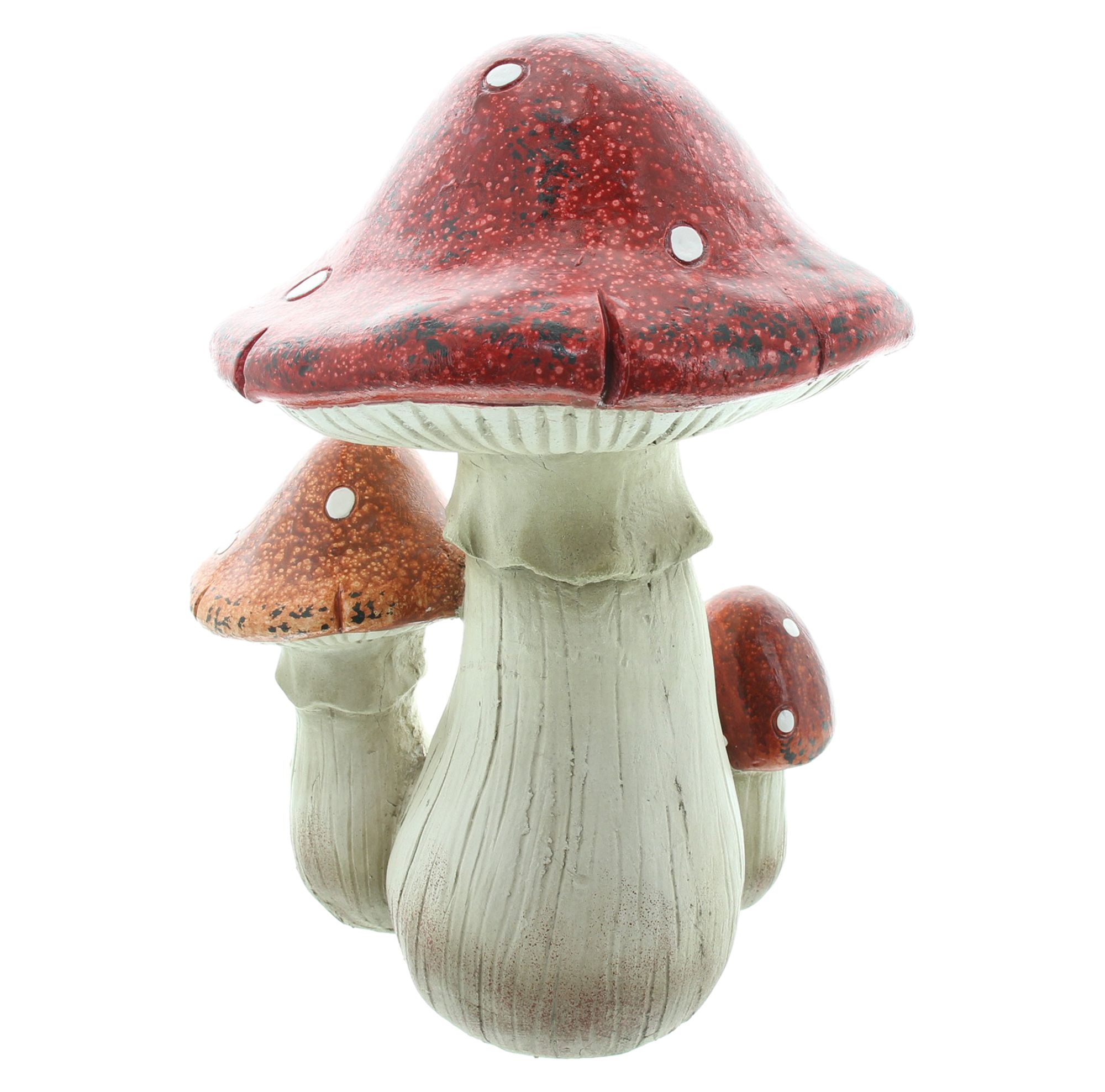 Acheter Amanite « Grande »  dans la boutique en ligne de Frank Flechtwaren pour Nouvel arrivage