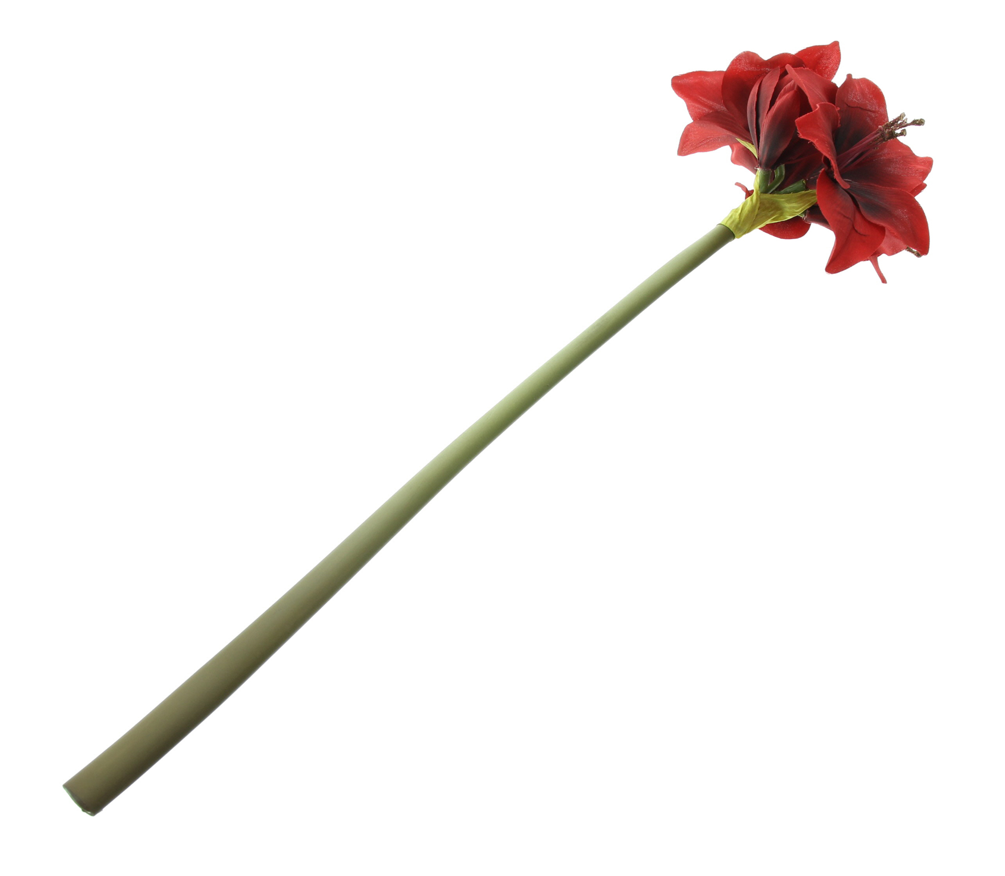 Acheter Fleur artificielle "Amaryllis", rouge  dans la boutique en ligne de Frank Flechtwaren pour Plantes artificielles