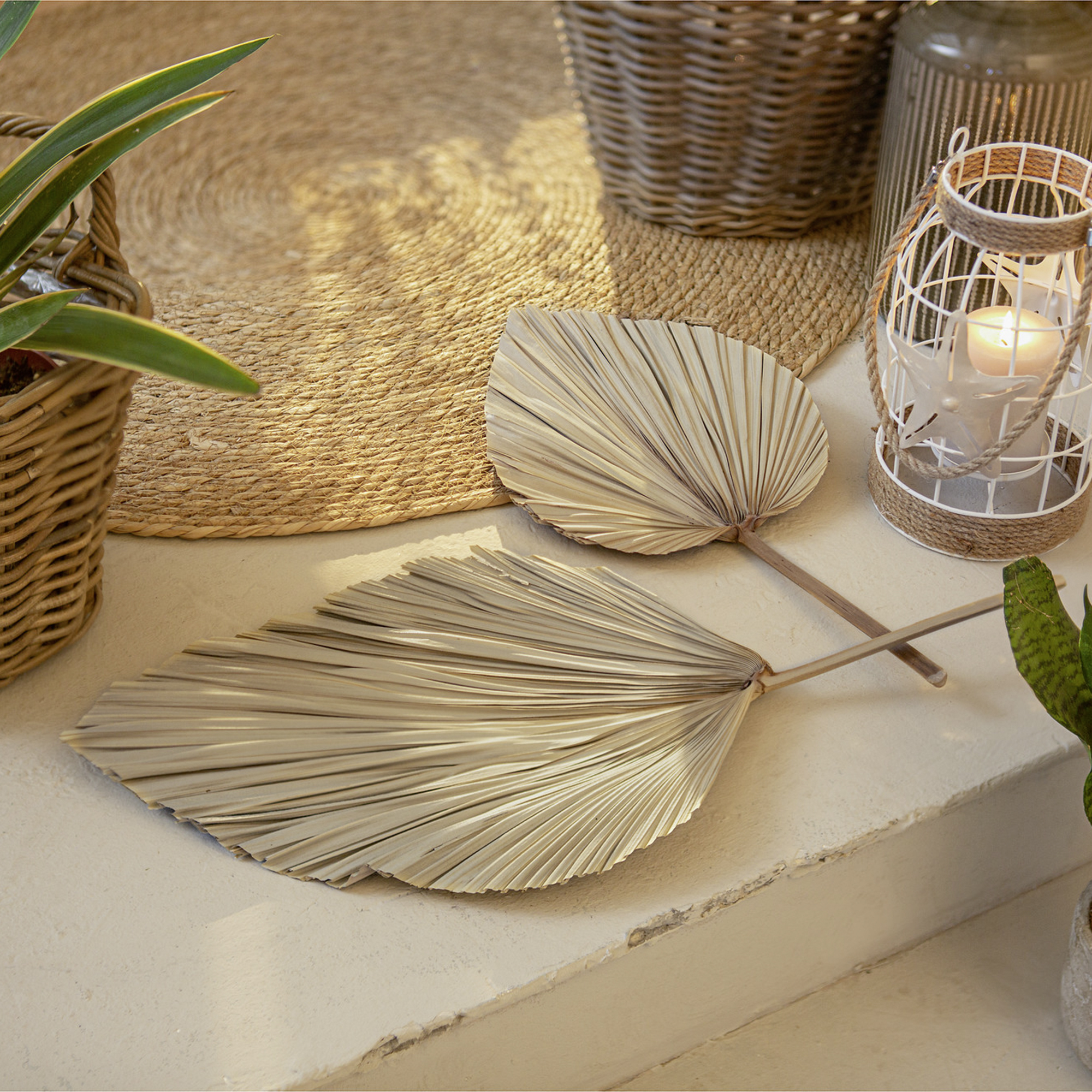 Acheter Lot de 2 feuilles de décoration "palme"  dans la boutique en ligne de Frank Flechtwaren