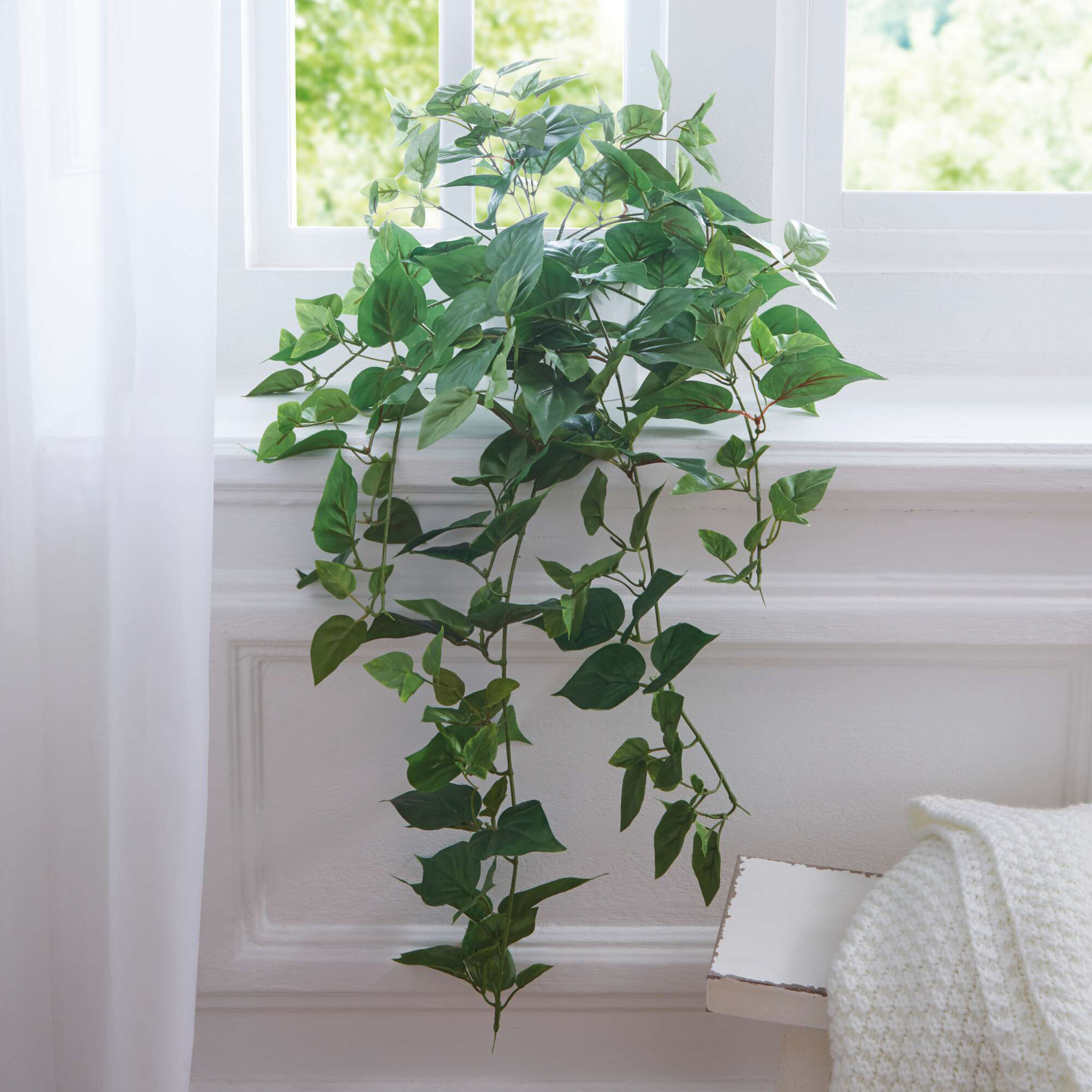 Acheter Liane de lierre "vert feuille"  dans la boutique en ligne de Frank Flechtwaren
