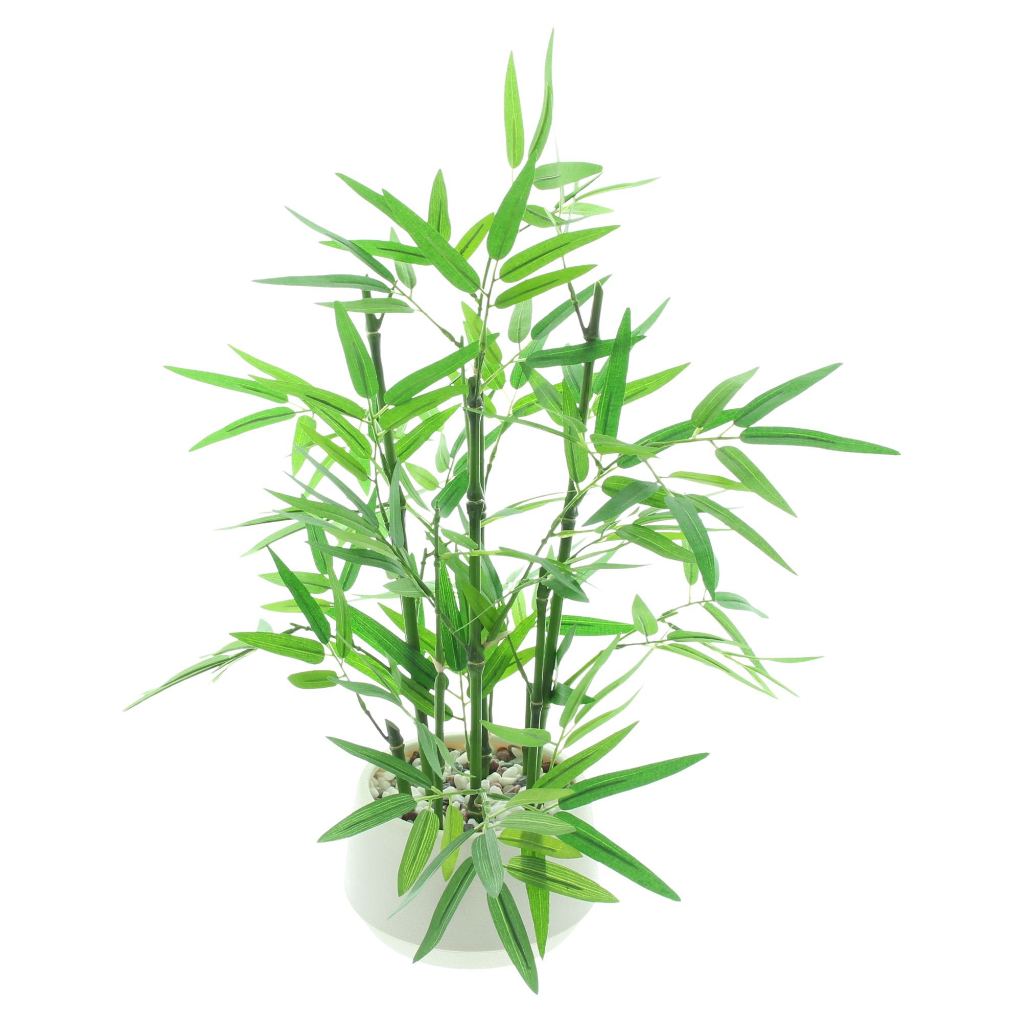 Acheter Plante artificielle "Bambou" avec pot  dans la boutique en ligne de Frank Flechtwaren pour Plantes artificielles