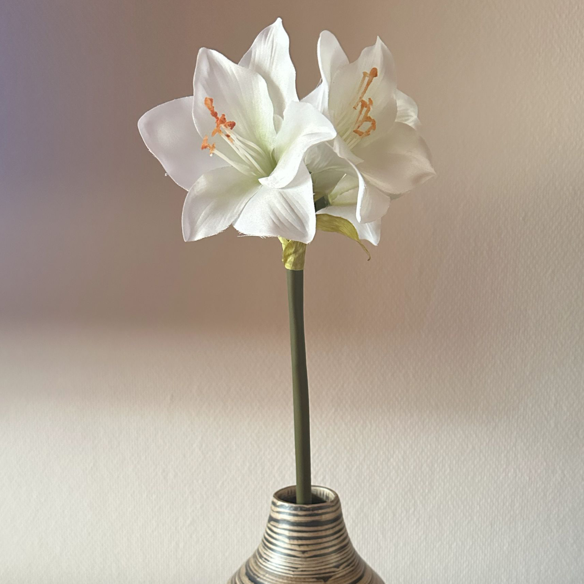 Acheter Fleur artificielle "Amaryllis", crème  dans la boutique en ligne de Frank Flechtwaren