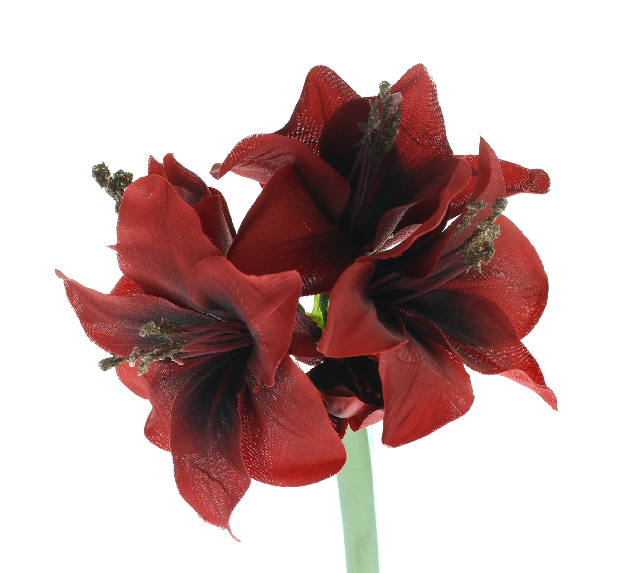 Acheter Fleur artificielle "Amaryllis", rouge  dans la boutique en ligne de Frank Flechtwaren pour Plantes artificielles