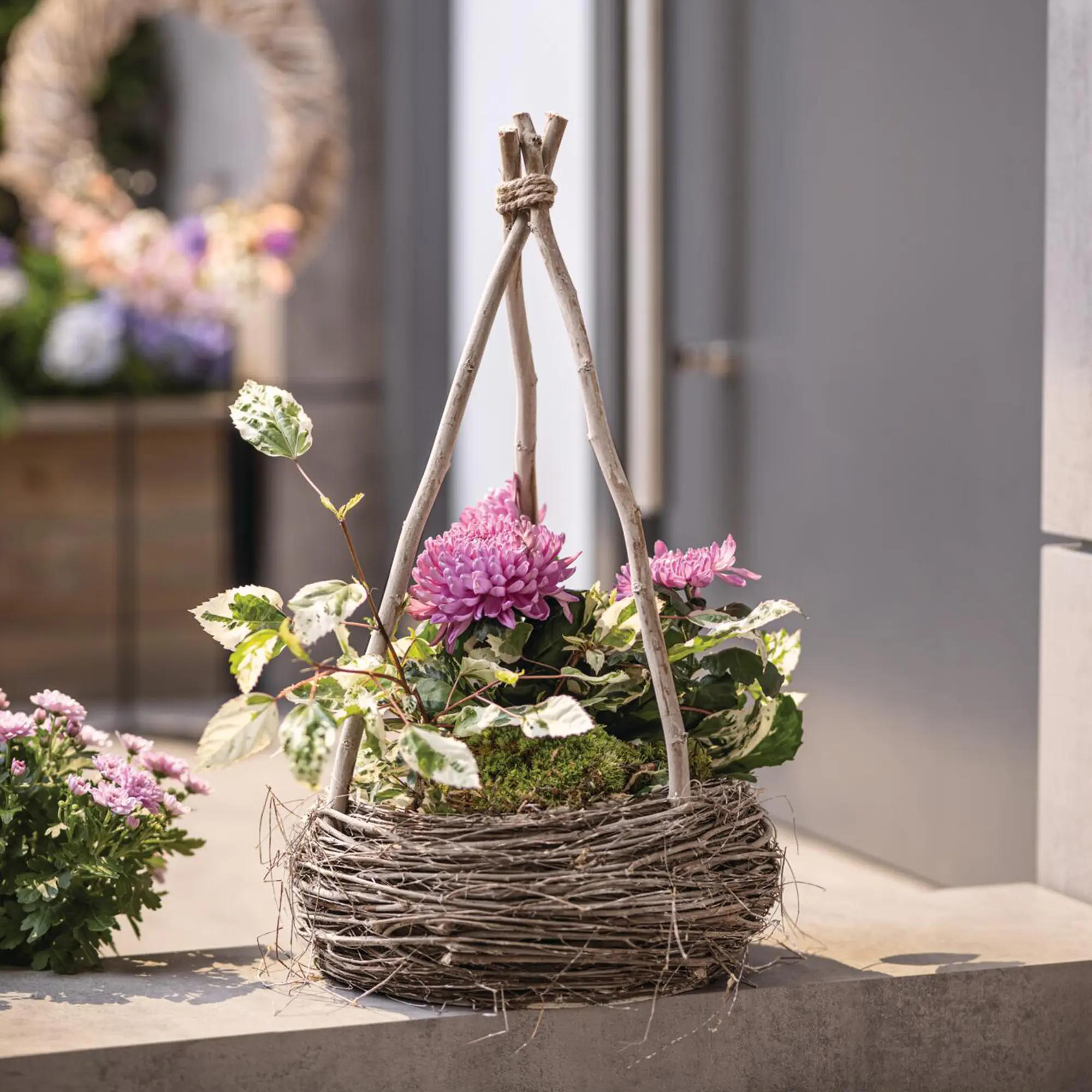 Acheter Jardinière "pyramide"  dans la boutique en ligne de Frank Flechtwaren
