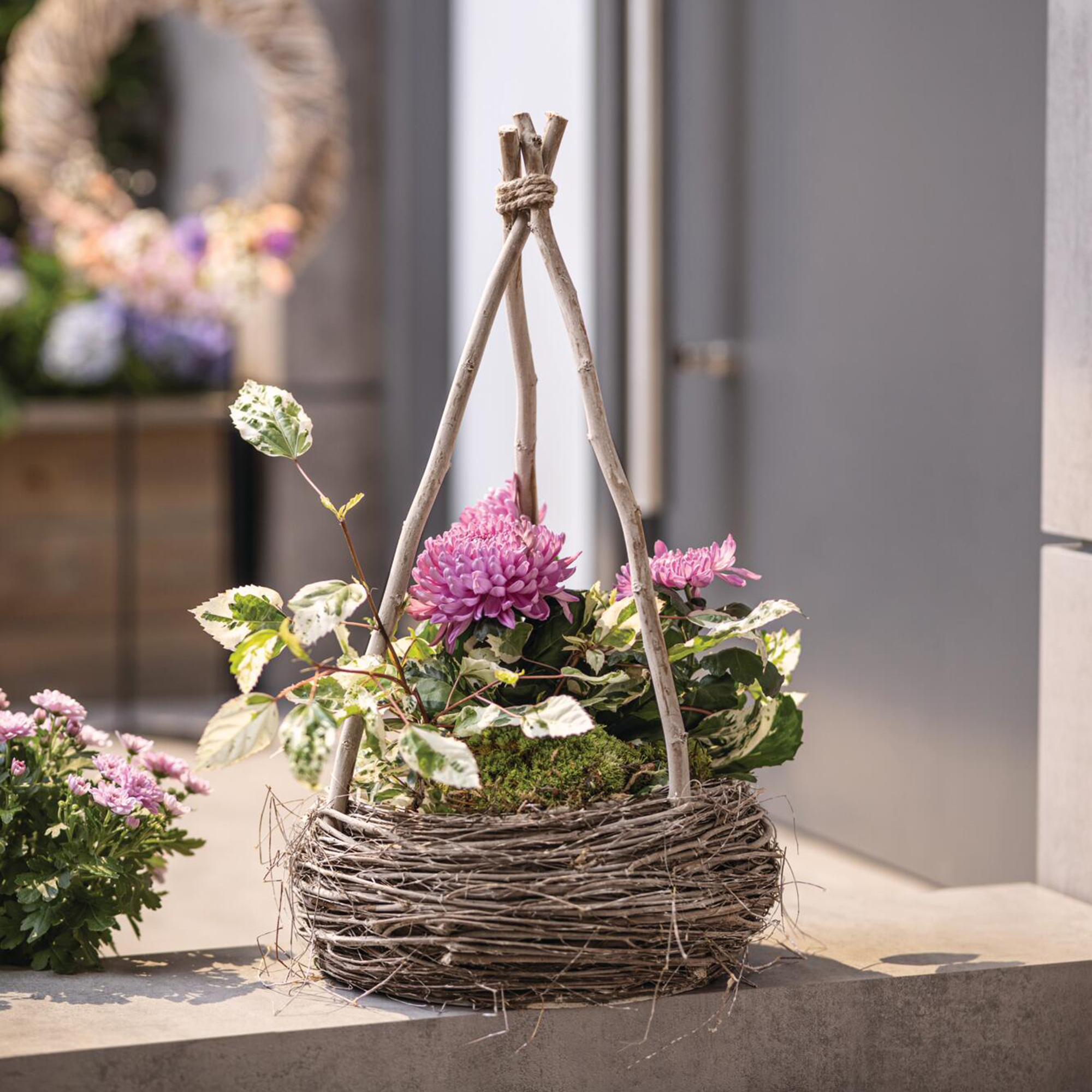 Acheter Jardinière "pyramide"  dans la boutique en ligne de Frank Flechtwaren