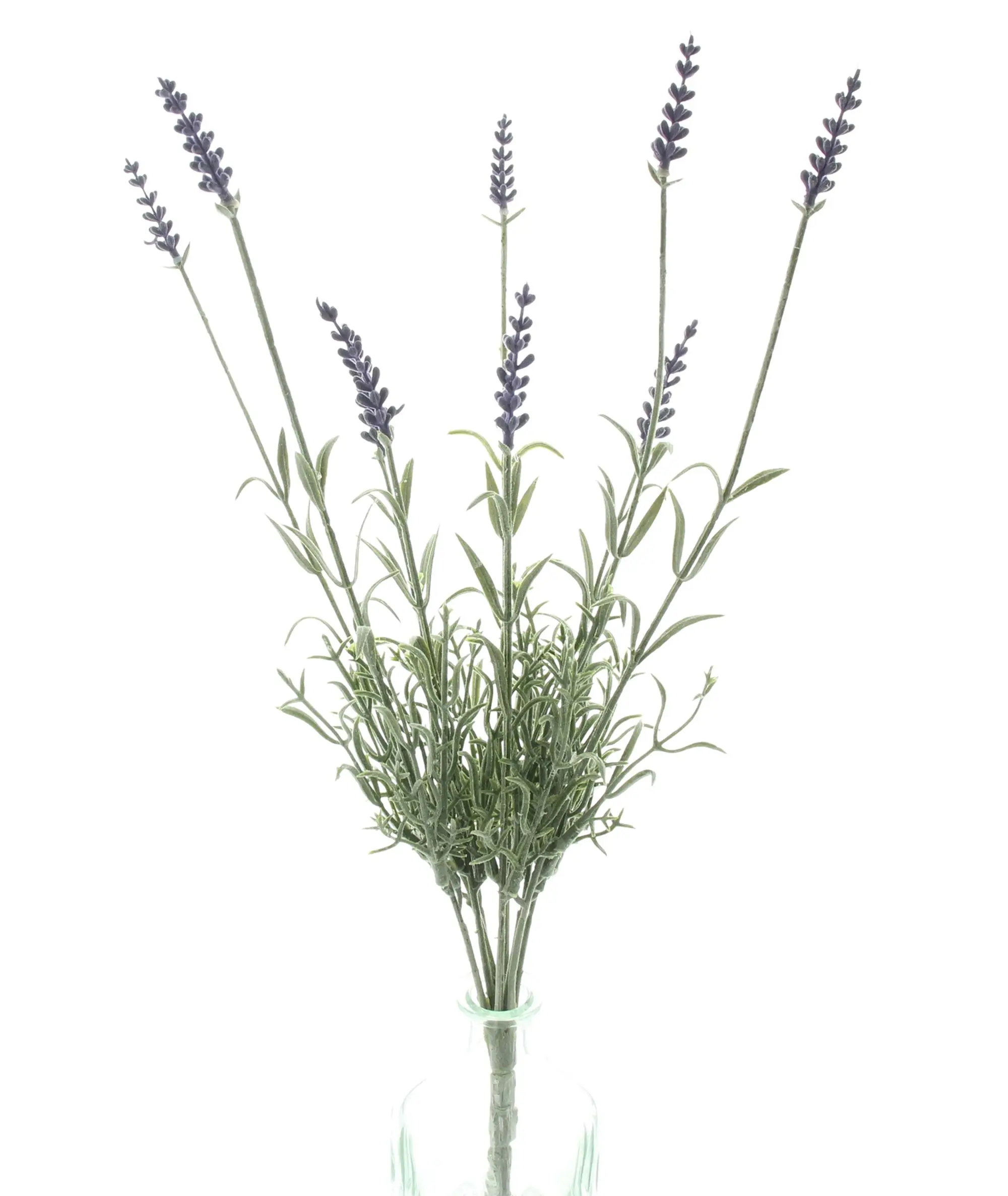 Acheter Fleur artificielle "Branches de lavande"  dans la boutique en ligne de Frank Flechtwaren pour Sorbet citron au