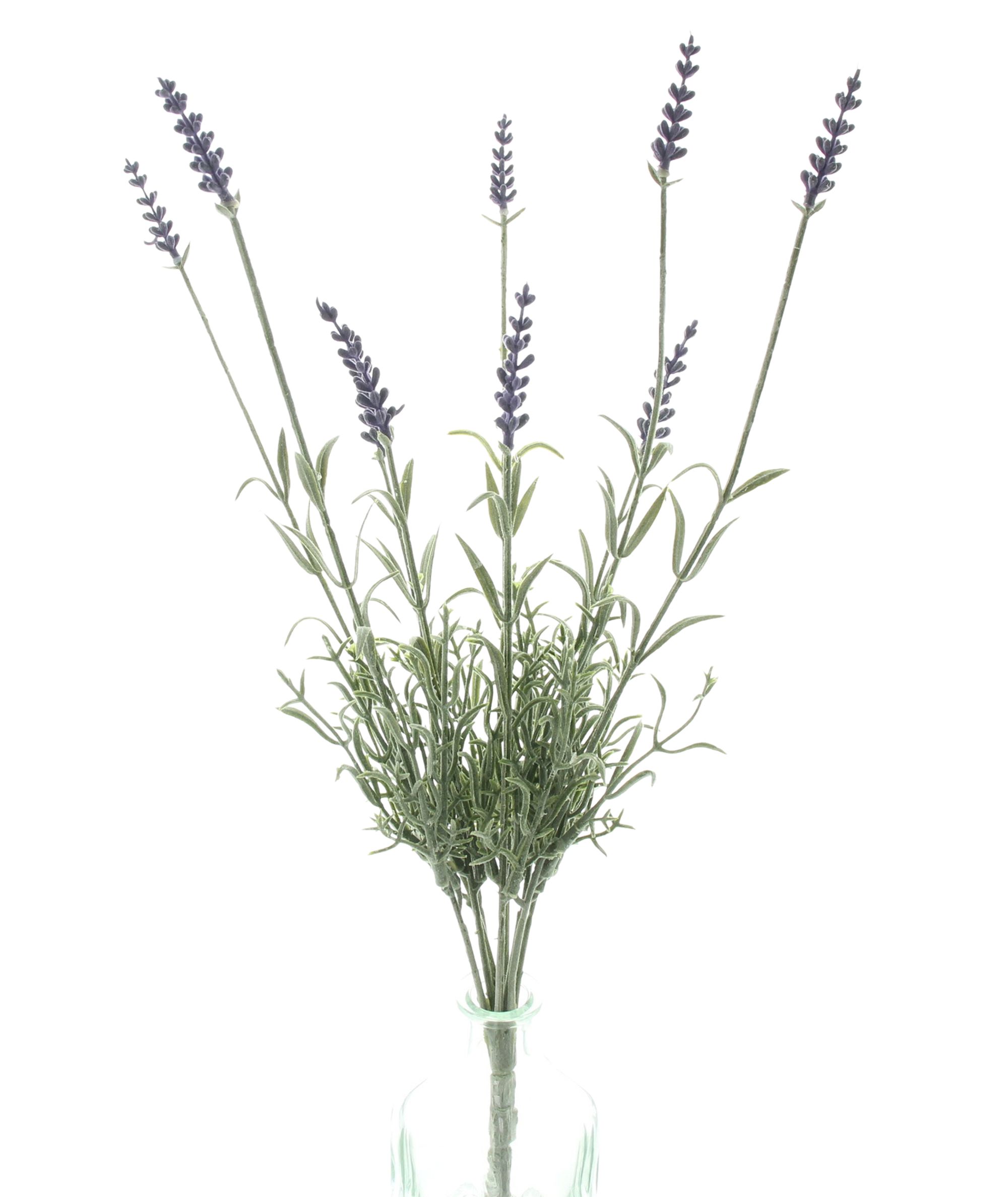 Acheter Fleur artificielle "Branches de lavande"  dans la boutique en ligne de Frank Flechtwaren pour Nouvel arrivage