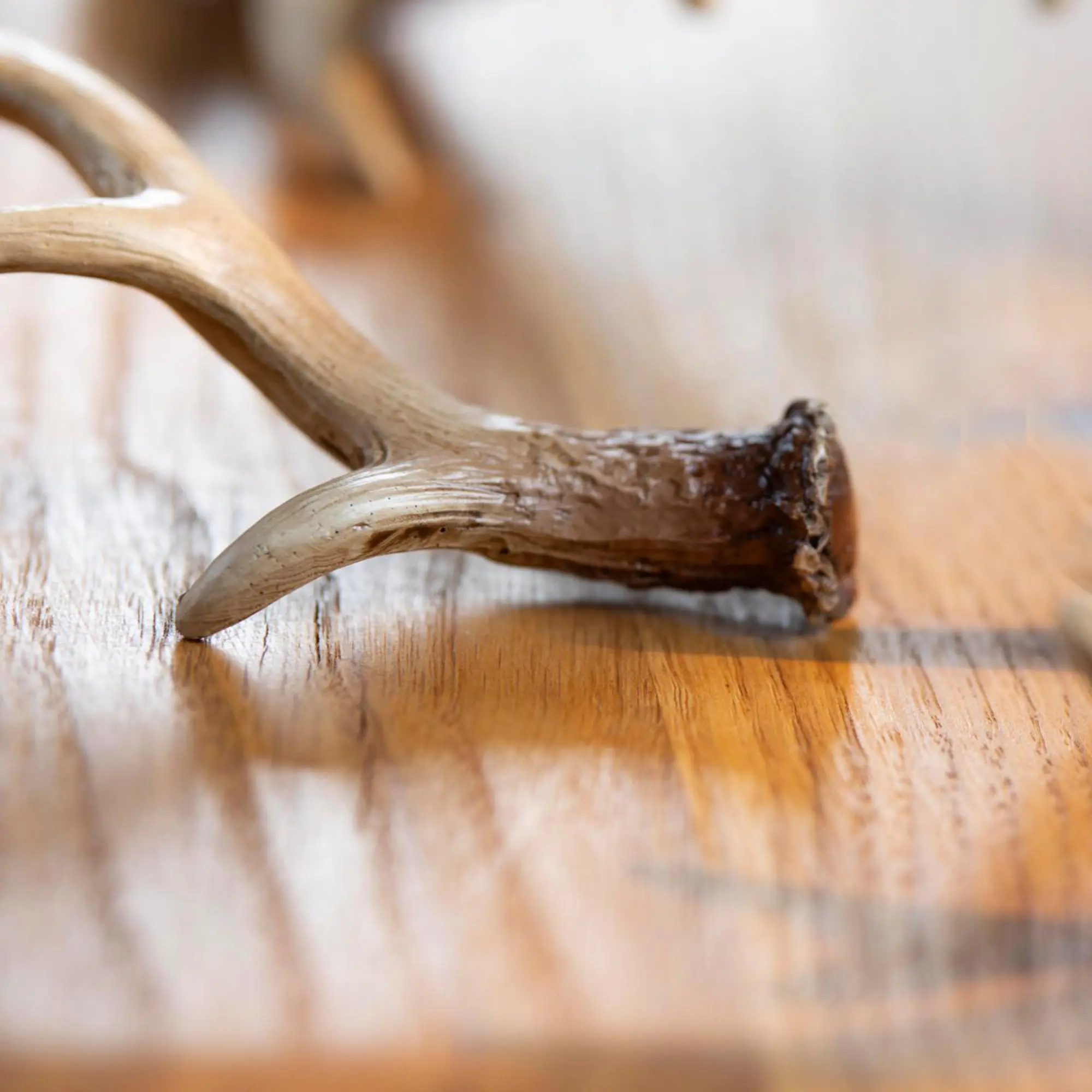 Acheter Bois décoratifs « Nature », lot de 3 dans la boutique en ligne de Frank Flechtwaren pour Promenade en forêt