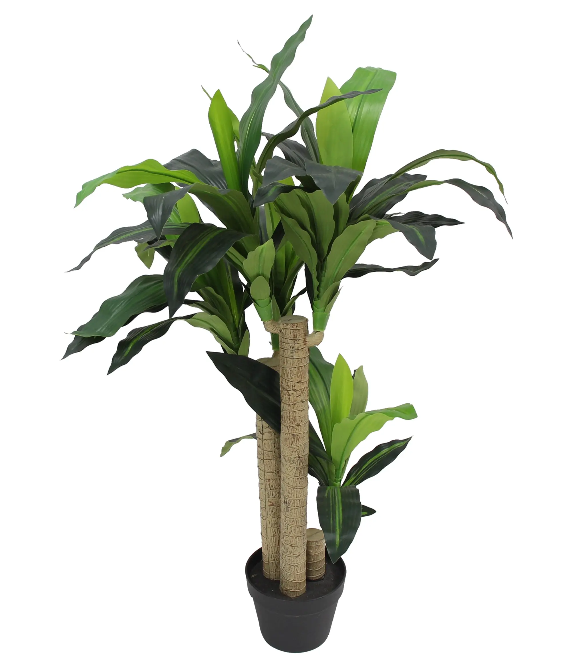 Acheter Plante artificielle "palmier yucca"  dans la boutique en ligne de Frank Flechtwaren pour Sensations Ibiza 