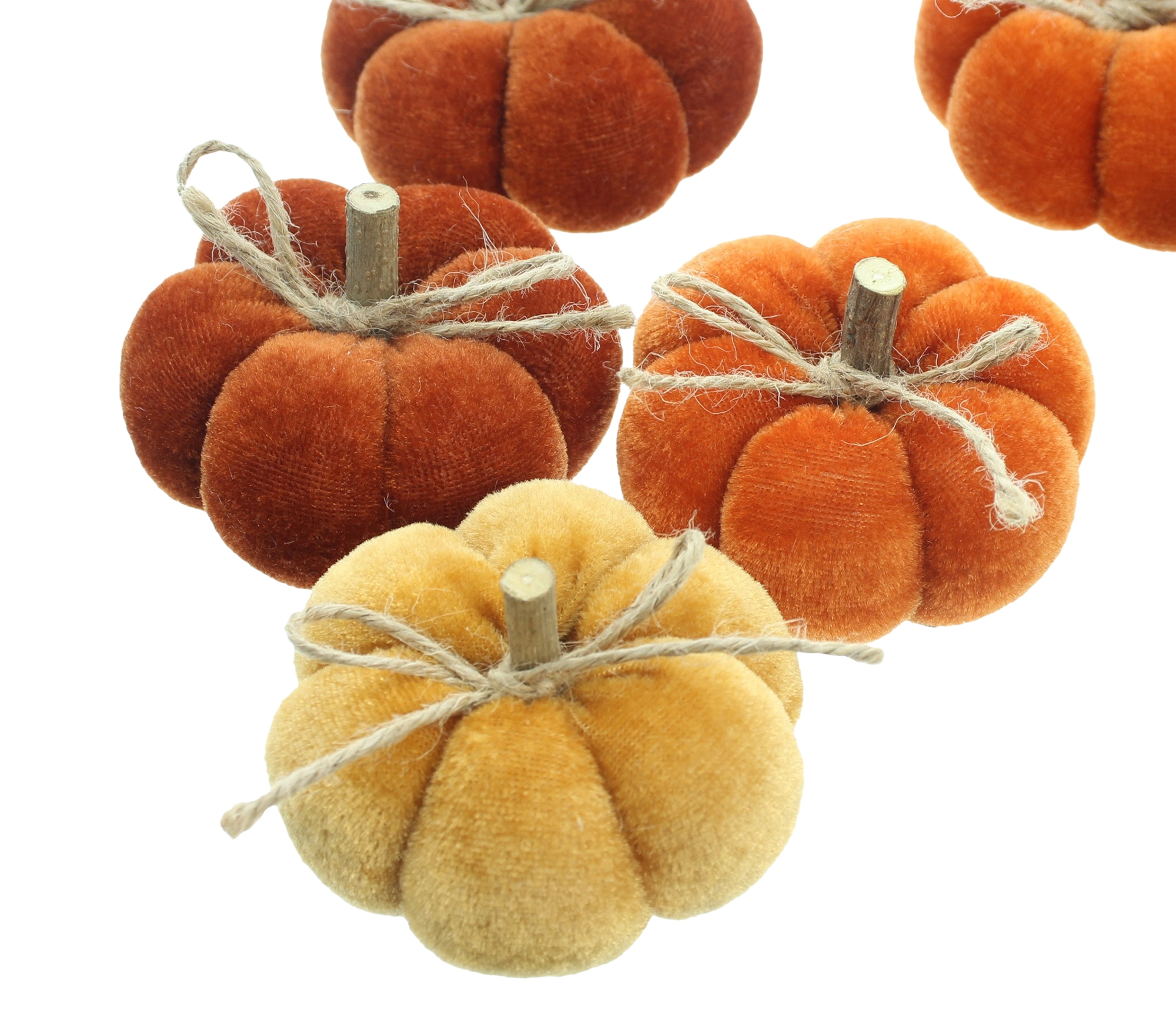 Acheter Lot de 6 citrouilles "couleurs d'automne"  dans la boutique en ligne de Frank Flechtwaren pour Série titre automne/hiver
